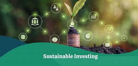 The Power of Sustainable and Impact Investing 的图像结果